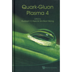 Quark-gluon Plasma 4