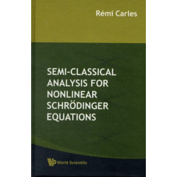 Semi-classical Analysis For Nonlinear Schrodinger Equations