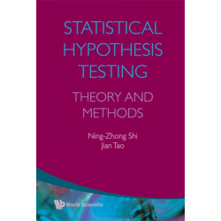 Statistical Hypothesis Testing: Theory And Methods