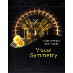 Visual Symmetry