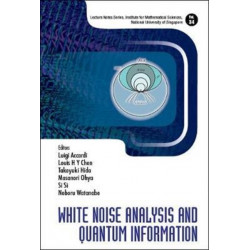 White Noise Analysis And Quantum Information