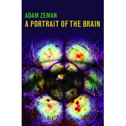 A Portrait of the Brain