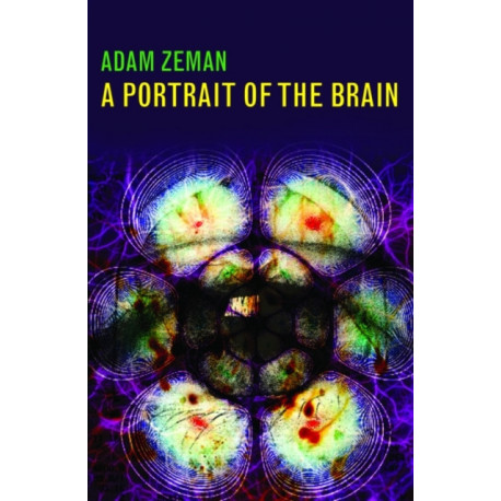 A Portrait of the Brain