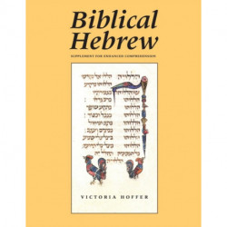 Biblical Hebrew, Second Ed. (Supplement for Advanced Comprehension)