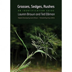 Grasses, Sedges, Rushes: An Identification Guide