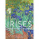 Irises – Vincent Van Gogh in the Garden