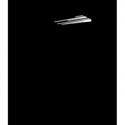 Men and Women: Enjoying the Difference