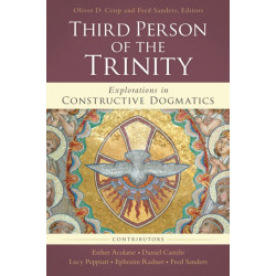 The Third Person of the Trinity: Explorations in Constructive Dogmatics