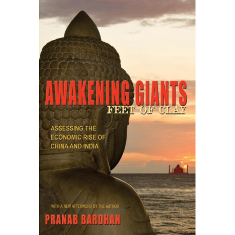Awakening Giants, Feet of Clay: Assessing the Economic Rise of China and India