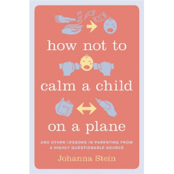 How Not to Calm a Child on a Plane: And Other Lessons in Parenting from a Highly Questionable Source