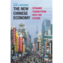 The New Chinese Economy: Dynamic Transitions into the Future