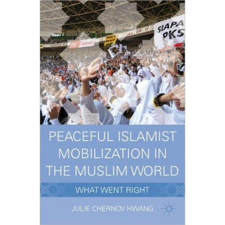 Peaceful Islamist Mobilization in the Muslim World: What Went Right