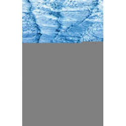 Against Theory of Mind