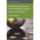 Multinational Companies from Emerging Economies: Composition, Conceptualization and Direction in the Global Economy