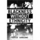 Blackness Without Ethnicity: Constructing Race in Brazil