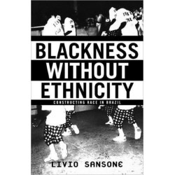 Blackness Without Ethnicity: Constructing Race in Brazil