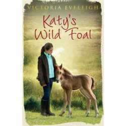 Katy's Exmoor Ponies: Katy's Wild Foal: Book 1