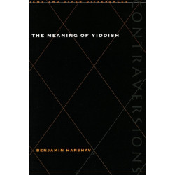 The Meaning of Yiddish
