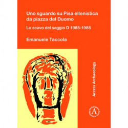 Uno sguardo su Pisa ellenistica da piazza del Duomo: Lo scavo del saggio D 1985-1988