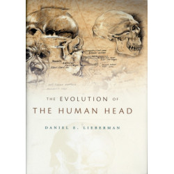 The Evolution of the Human Head