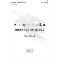 A baby so small, a message so great: Paperback