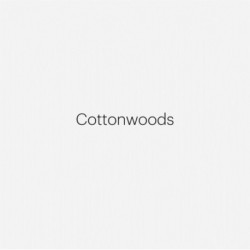 Robert Adams: Cottonwoods