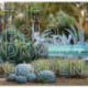 The Bold Dry Garden: Lessons from the Ruth Bancroft Garden