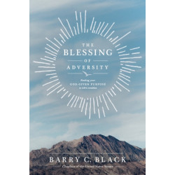 Blessing Of Adversity, The