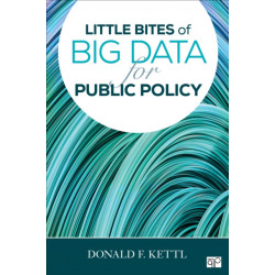 Little Bites of Big Data for Public Policy