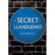 Secret Llandudno