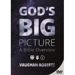 God's Big Picture: DVD
