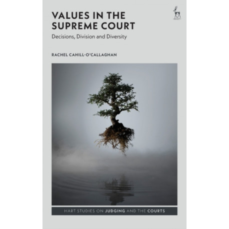 Values in the Supreme Court: Decisions, Division and Diversity