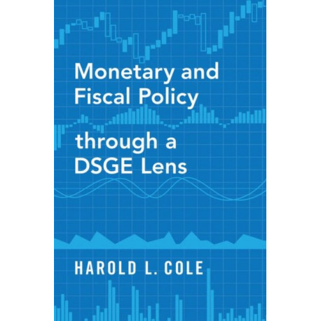 Monetary and Fiscal Policy through a DSGE Lens