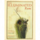 The Illuminated Rumi