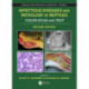 Infectious Diseases and Pathology of Reptiles: Color Atlas and Text, Diseases and Pathology of Reptiles Volume 1