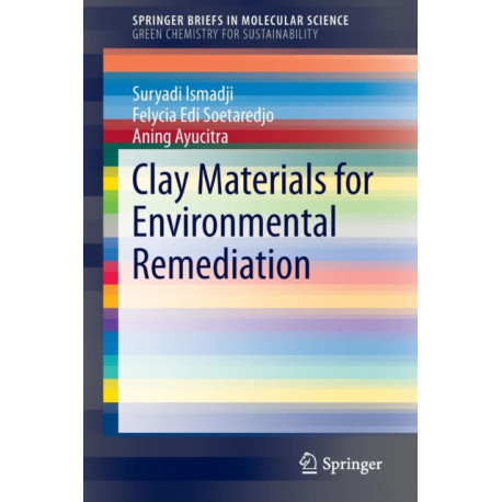 Clay Materials for Environmental Remediation