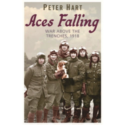 Aces Falling: War Above The Trenches, 1918