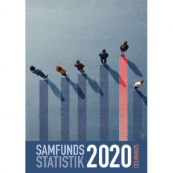 Samfundsstatistik 2020