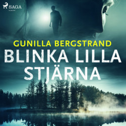 Blinka lilla stjärna