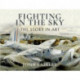 Fighting in the Sky: The Story in Art