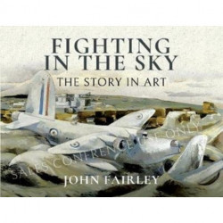 Fighting in the Sky: The Story in Art