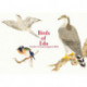 Birds of Edo: A Guide to Classical Japanese Birds