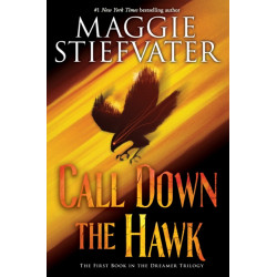 Call Down the Hawk (The Dreamer Trilogy, Book 1)