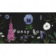 Pansy Boy