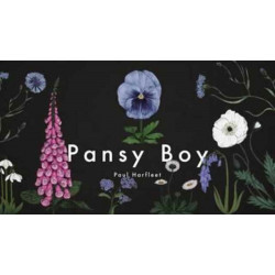 Pansy Boy