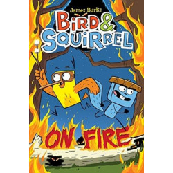Bird & Squirrel On Fire: A Graphic Novel (Bird & Squirrel -4)
