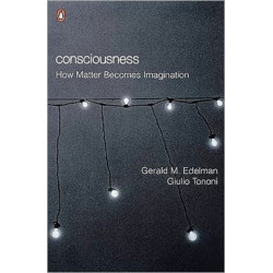 Consciousness: How Matter Becomes Imagination