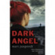 Dark Angel: Anders Knutas series 6