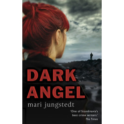 Dark Angel: Anders Knutas series 6