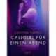 Callgirl für einen Abend: Erotische Novelle